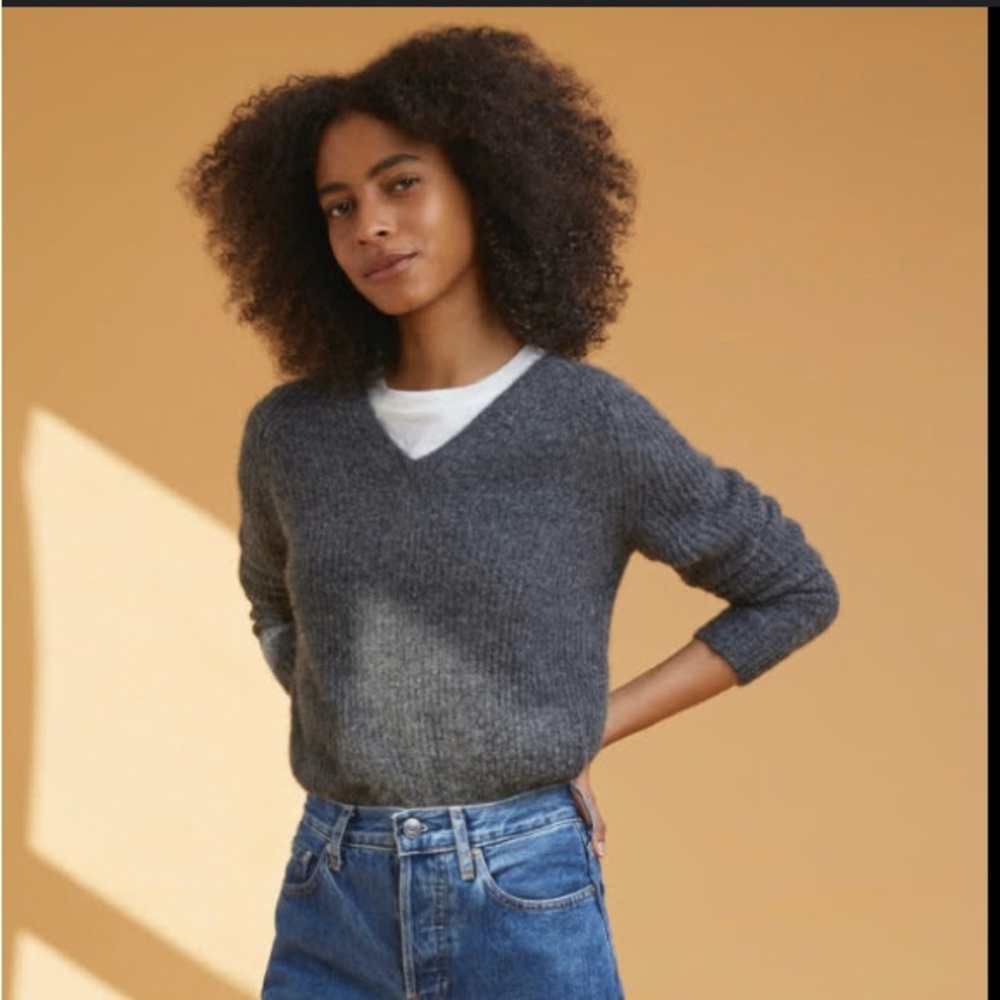 Everlane Alpaca V neck sweater